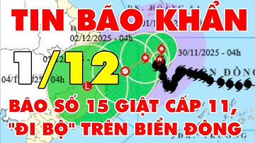 🆘 TIN BÃO KHẨN 1/12: Bão số 15 giật cấp 11, "đi bộ" trên Biển Đông