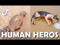 Real Human Heroes Saving Poor Animals 🙏 - TikTok Compilation