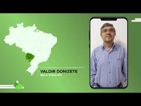 “BOIADA NELORE BRUTA DE BOA!” GADO CASTRADO CHEGA A QUASE 22@ EM MS