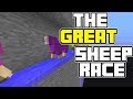 The Great Sheep race! (Minecraft Marble race)