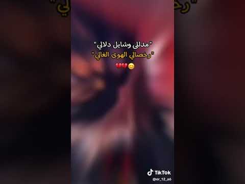 مدللة وشايل دلالي ملاية نور الهدى