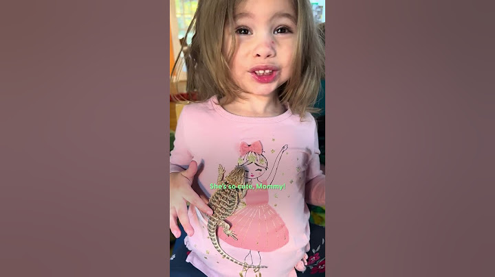 Four-Year Old's BFF Is Her Bearded Dragon | The Dodo