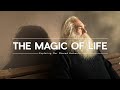 The Magic of Life