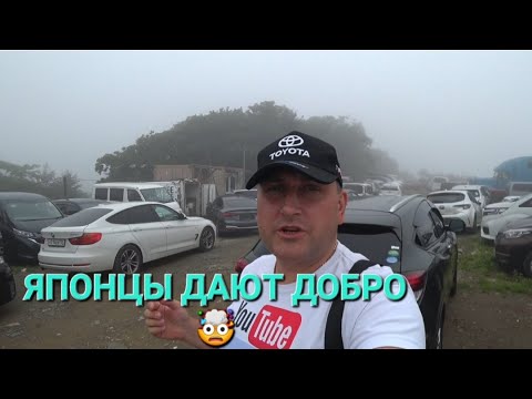 Видео: АВТОРЫНОК ЯПОНИЯ ДАЁТ ДОБРО, НА СВОЙ СТРАХ И РИСК