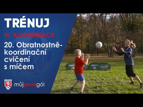 VI. Koordinace – Obratnostně-dovednostní cvičení s míčem