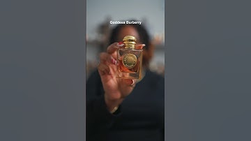 LONG LASTING PERFUMES OF 2024