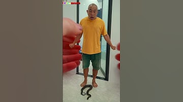 Funny video | Turned into squishy #shorts #funny