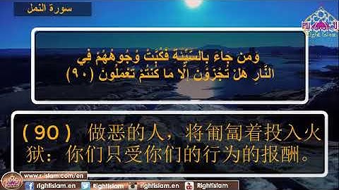 مقطع من سورة النمل مترجم للغة الصينية