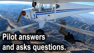 Trevor Jacob questions , answers and pilot reaction to crash video