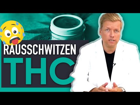 THC und Stoffwechsel