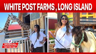 White Post Farm of Melville, Long Island New York #2022@Samia mony🕊🦜🦒