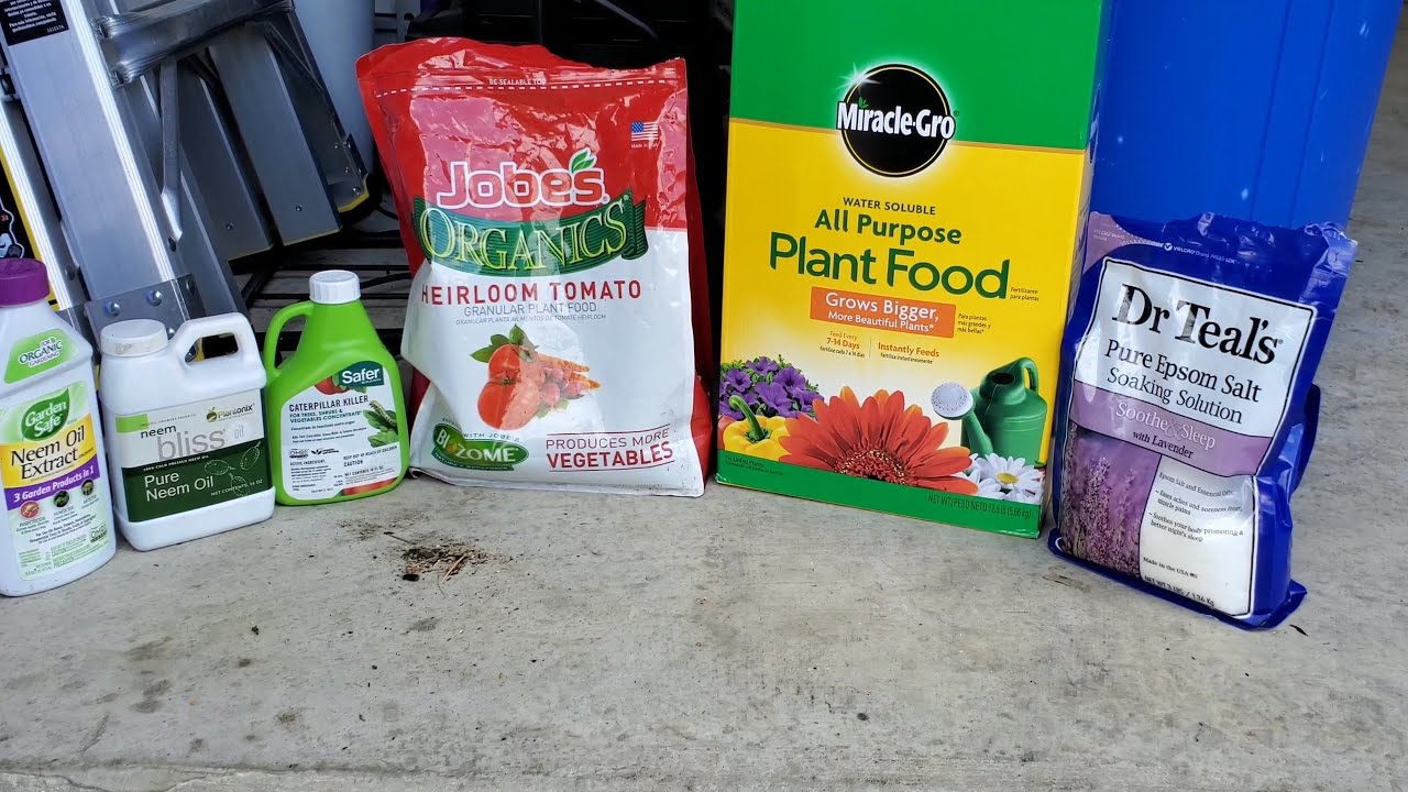 ORGANIC Pesticides and Epsom Salt I use in my Vegetable Garden and