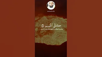 خالد الجليل تلاوة خاشعة سورة الدخان إن شجرت الزقوم طعام الأثيم 