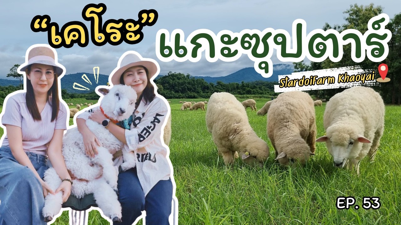 EP.53 StardoiFarm khaoyai#ฟาร์มแกะ#ปากช่อง#ที่เที่ยวเขาใหญ่#เที่ยวธรรมชาติ#ถ่ายรูปสวยด้วยมือถือ 