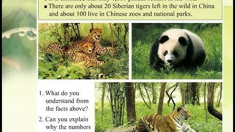 Hướng dẫn đọc Tiếng Anh lớp 11-Unit 10  Nature in Danger-Reading I Ms. Thảo