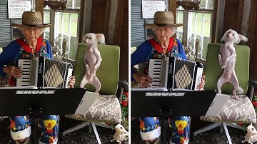 Musical pup dances along to grandma