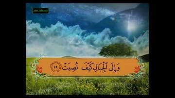 سورة الغاشية من 17 - 26 مكررة