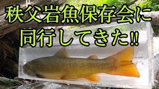 秩父岩魚保存会に同行してきた 秩父岩魚保存会に同行してきた
