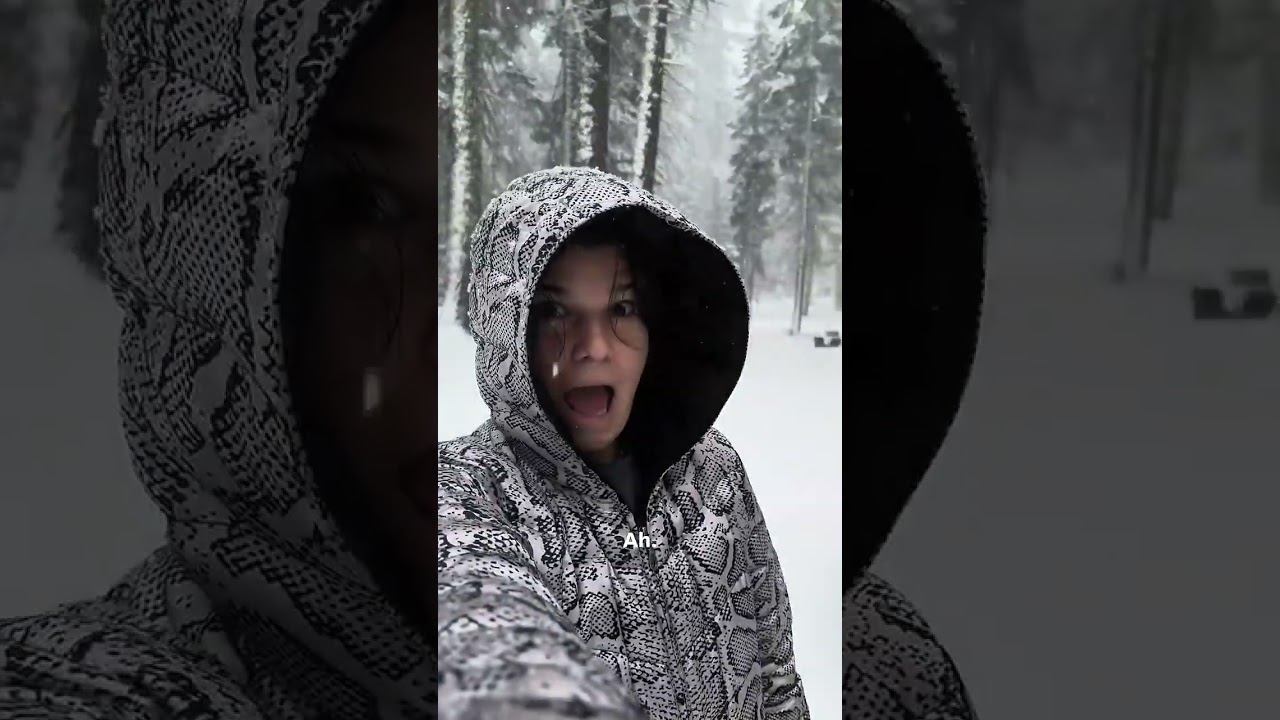 Does Starlink work in the snow?