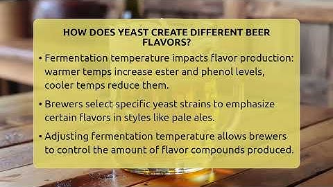 How Does Yeast Create Different Beer Flavors? - The Pint Guy