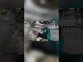 How the U.S. Produces Rabbit Meat – Fast Factory Tour #rabbitfarming #rabbitmeatprocessing #rabbit