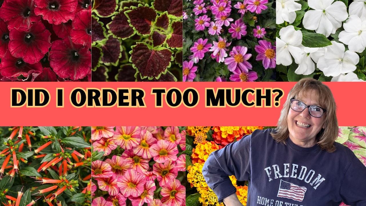 Annuals I Ordered For My Garden This Year/2026