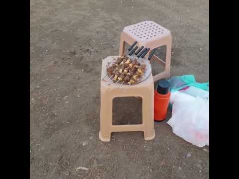 نزهة جميلة مع العائلة بغابة المضيق