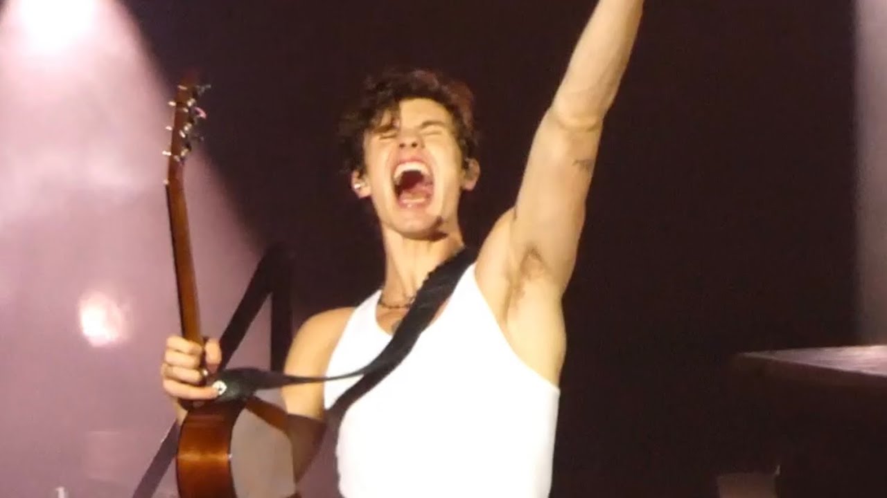 Shawn Mendes - If I Can't Have You (Live in Manila, 2019)