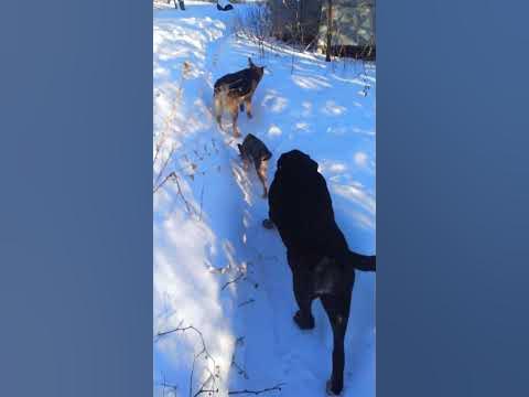 Не ходи туда, тебя там ждут неприятности. Как же не ходить, они же ждут ...