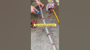 Béc nhỏ giọt 8 tia GIÁ RẺ DỄ LẮP thi công nhanh chóng #becnhogiot