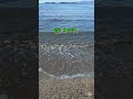 달을 보며  한용운 (1879~1944) #한용운 #달을 보며 #sea #파도