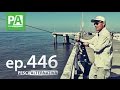 Pesca Alternativa ep.446 - Pescaria na Plataforma