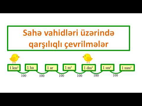 Video: Sahə Xardal