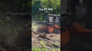 MULCHER FAE PT -300 Пополнение в штат прибыло... #мульчерexpert