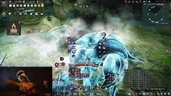 たぬぶろ Youtube たぬぶろ Youtube