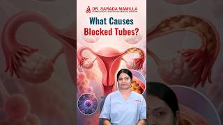 Blocked Fallopian Tubes? | When Treatment or Surgery Is Needed | Dr Sarada Mamilla
