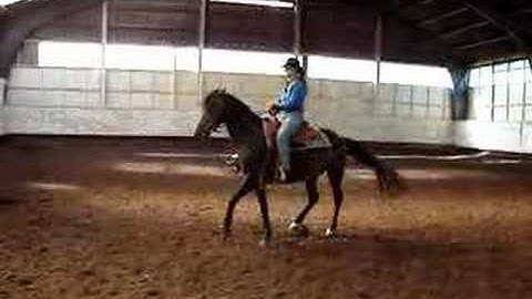 Spin rechts