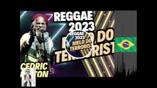 Reggae Brazil 💛#2023  Samba / Pedra Mix 💚Video DJ Sweet