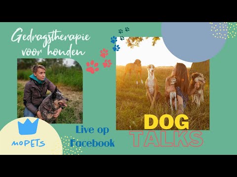 Video: Kunnen gedragsproblemen met honden voor eens en altijd genezen worden?