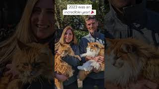 2023 was an incredible year! 🎉 by ProtectaPet Ltd 131 views 4 months ago 1 minute, 10 seconds