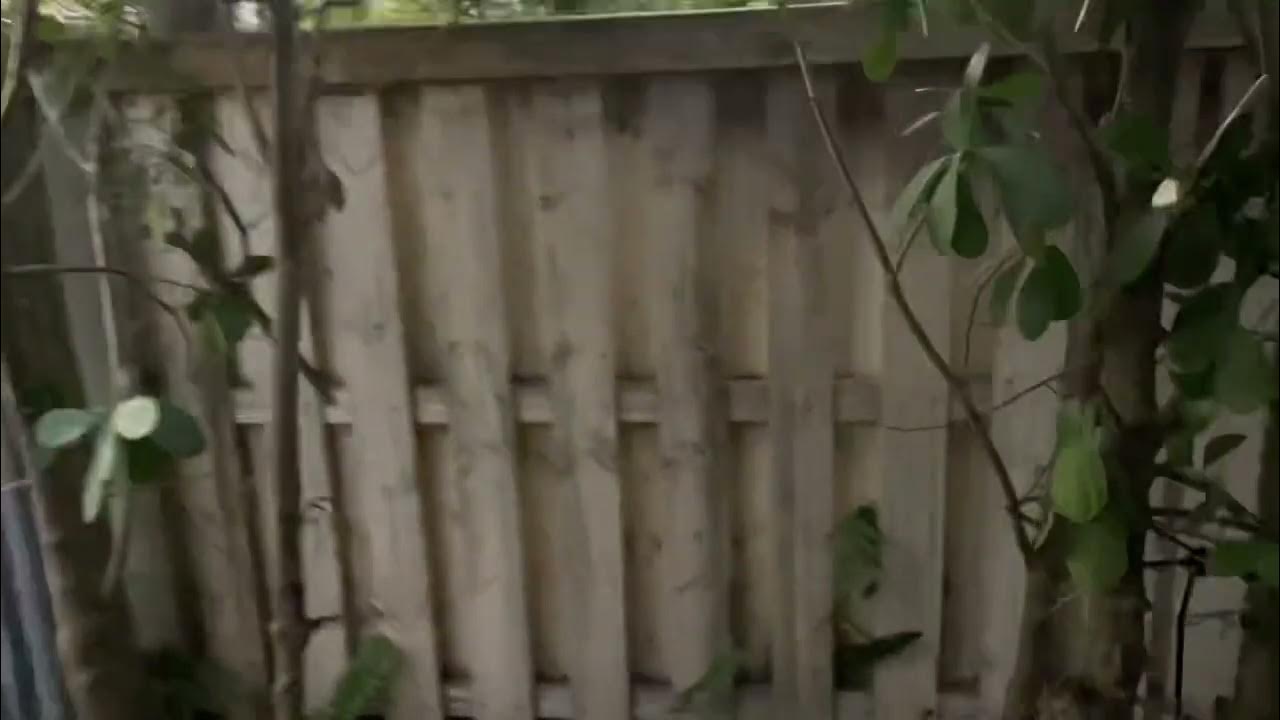 Pool heater noise YouTube