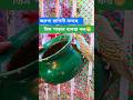 আমি মা হবই! এই জেদ নিয়ে পাগল হয়ে গেছে আমার বাজরিগার রাগিনী! #funlybirds #birdlovers