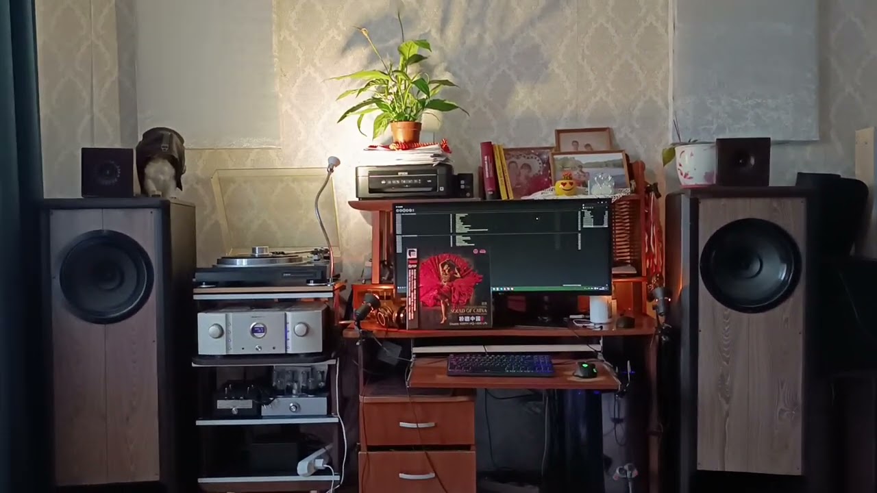 Maranz PM 11+ Винил+ голова mc AT33