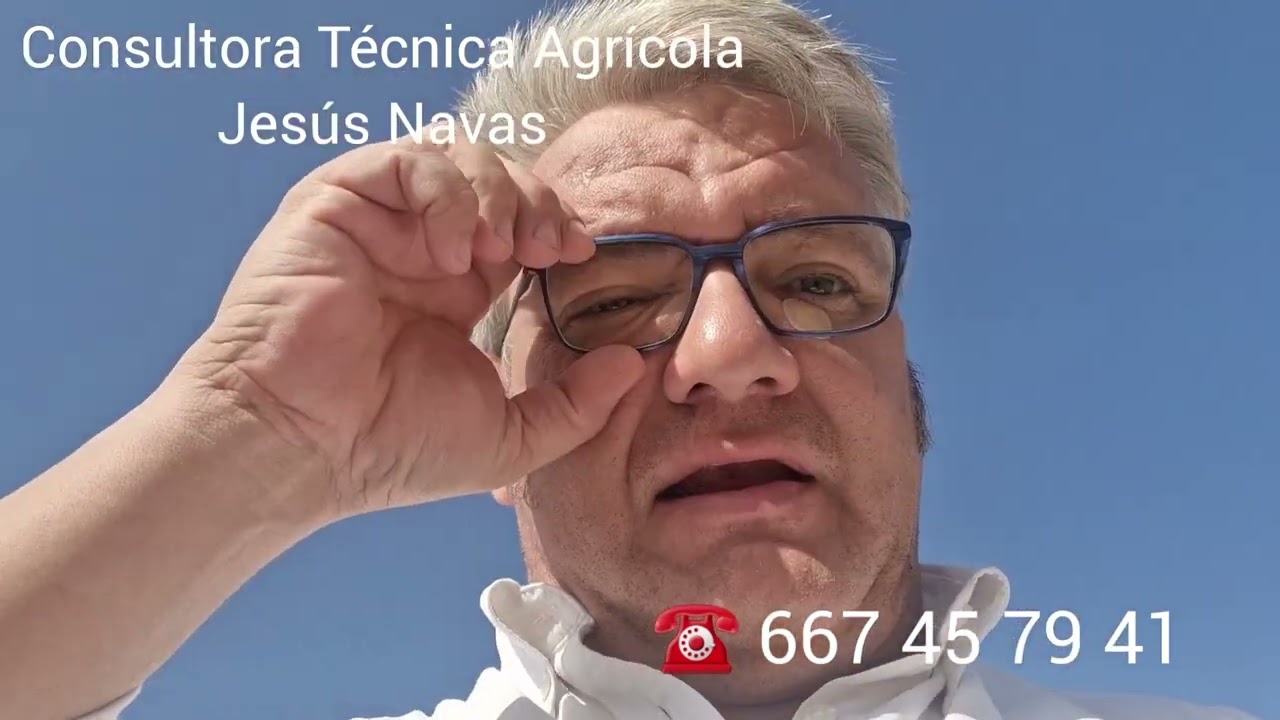 Otro punto de vista de la Euzophera