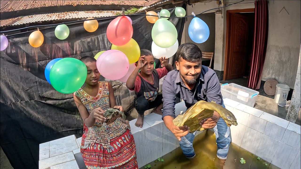 Чистка аквариума и ловля рыбных черепах 