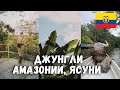 3 ДНЯ В ДЖУНГЛЯХ АМАЗОНИИ. НАЦИОНАЛЬНЫЙ ПАРК ЯСУНИ, ЭКВАДОР. РЕКА НАПО И NAPO CULTURAL CENTER