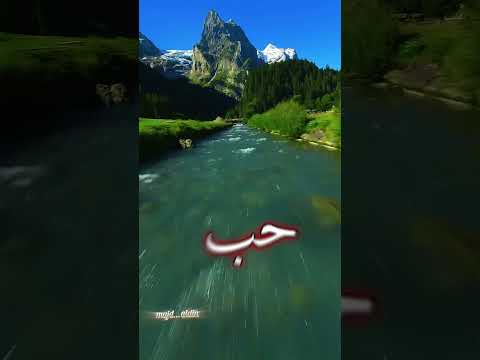 خلي الدنيا كلها تسمع