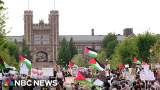 Jewish students say they feel 'terrified' during protests at Washington University