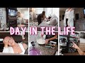 DAY IN THE LIFE VLOG // cleaning + shopping