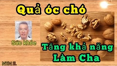 Sức khỏe: Tác dụng tuyệt vời của quả óc chó, đặc biệt tăng khả năng làm cha - NTN SL